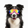 Dog Sunglasses / Dog Goggles