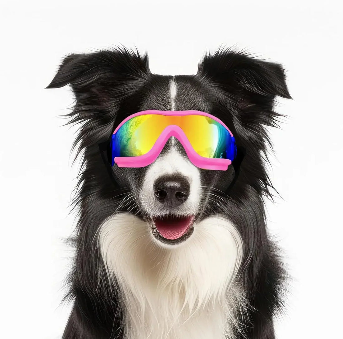 Dog Sunglasses / Dog Goggles