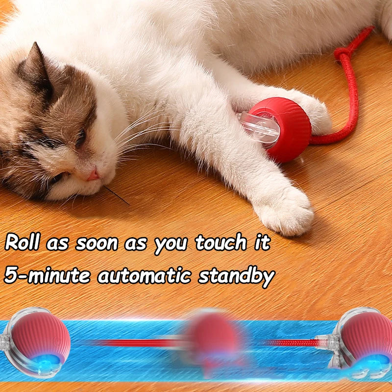 Cat Interactive Ball