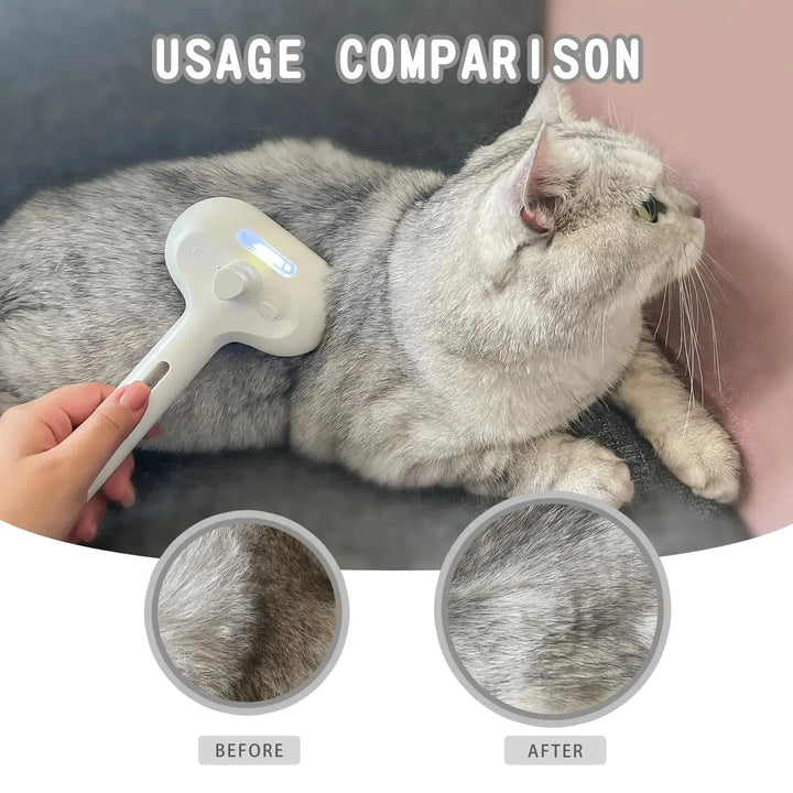 Pet Brush