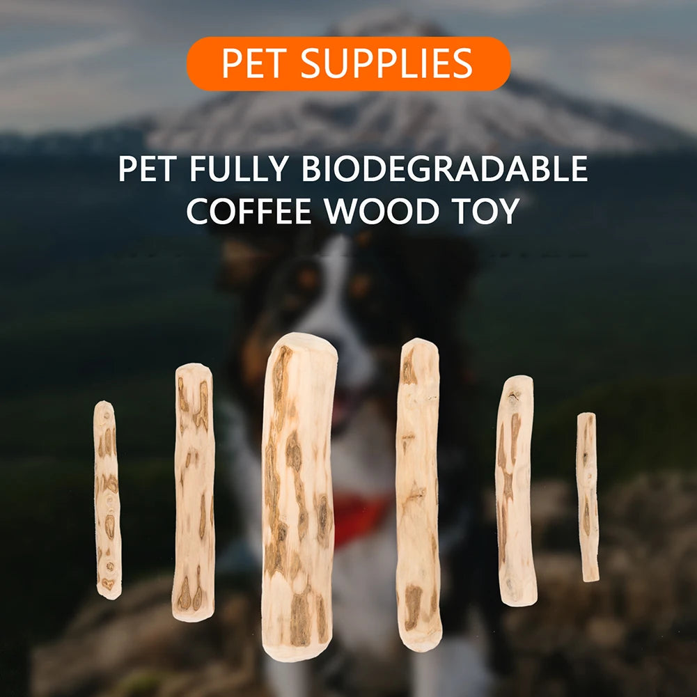 Natural Coffee Wood Chewable Stick