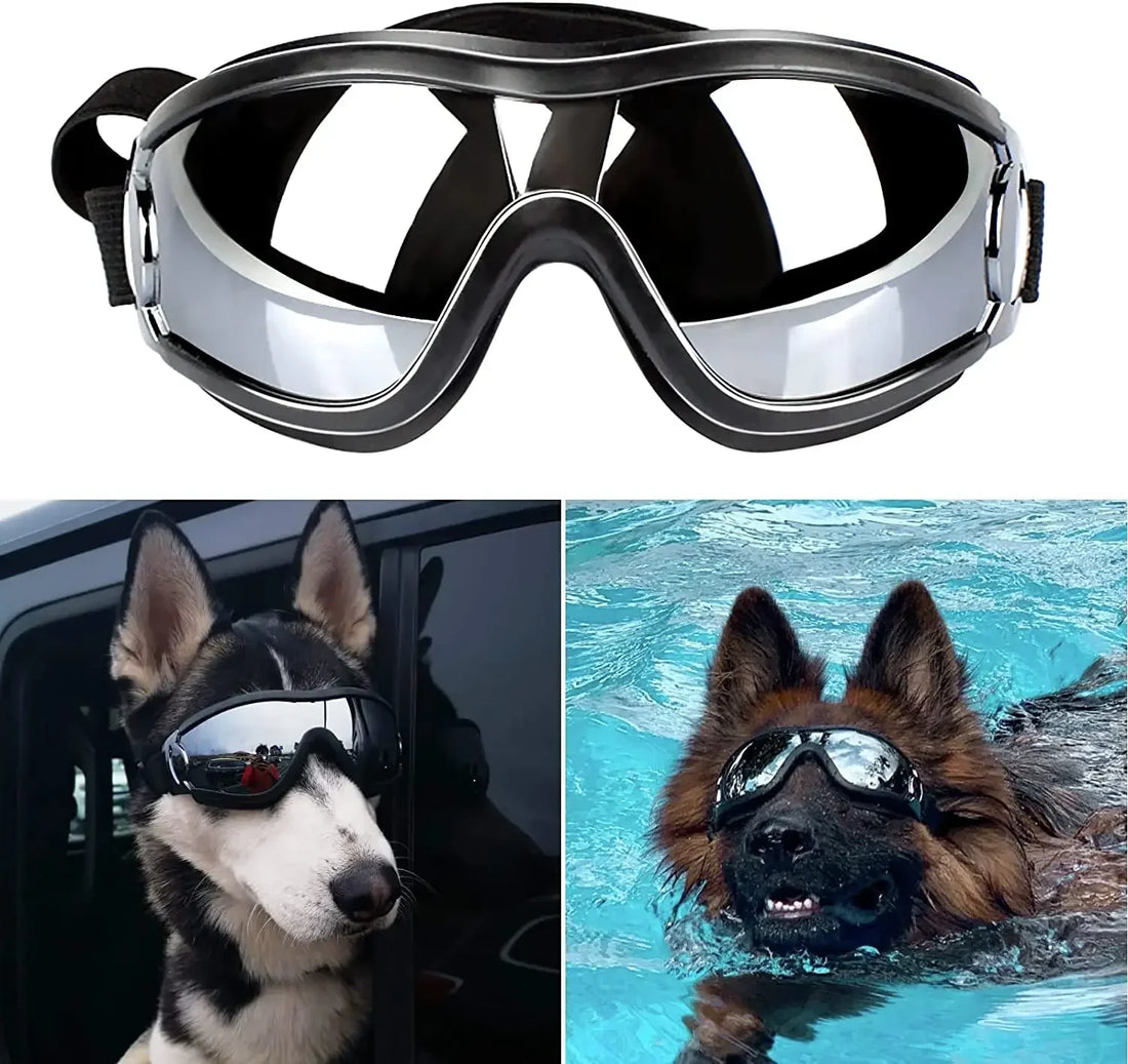 Dog Sunglasses / Dog Goggles