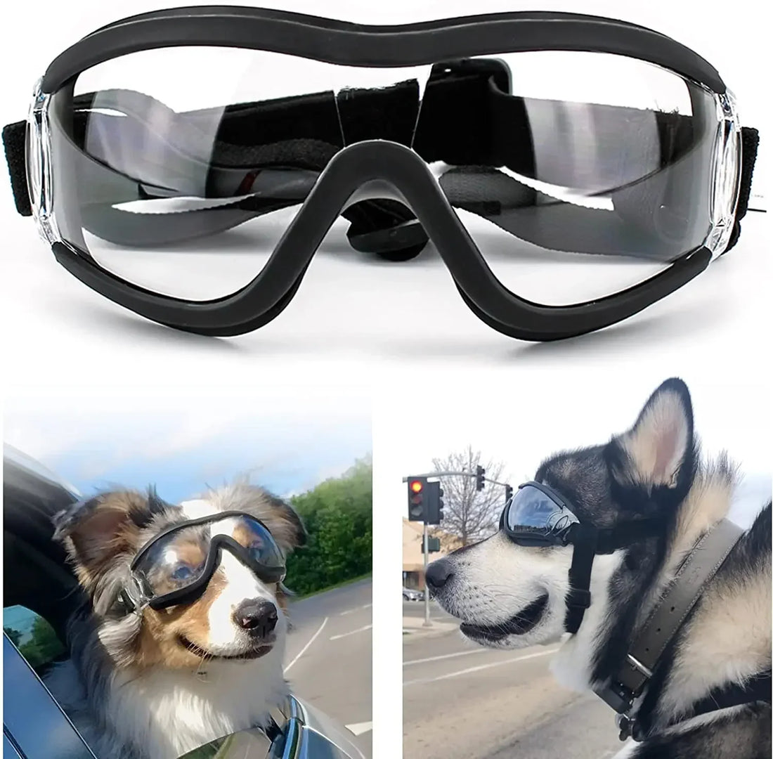 Dog Sunglasses / Dog Goggles