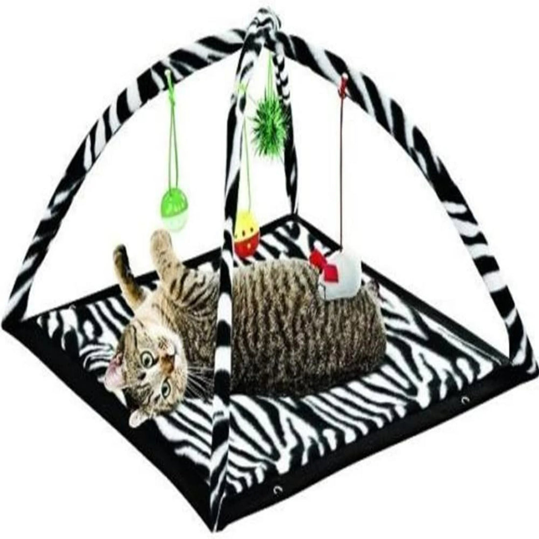 Fun Zebra Print Cat Play Tent with Dangle Toys