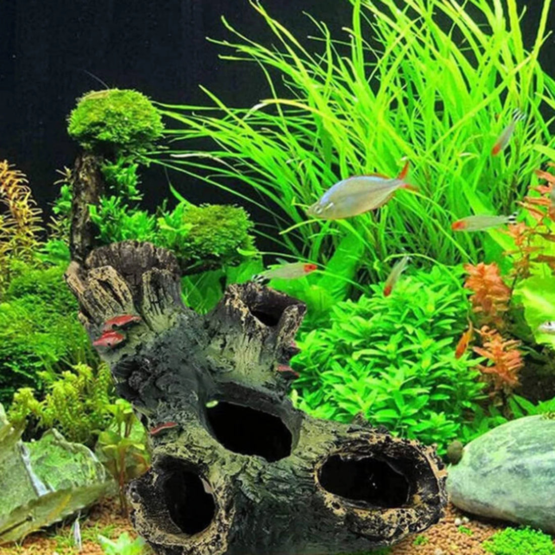 Serene underwater environment for your aquatic pets