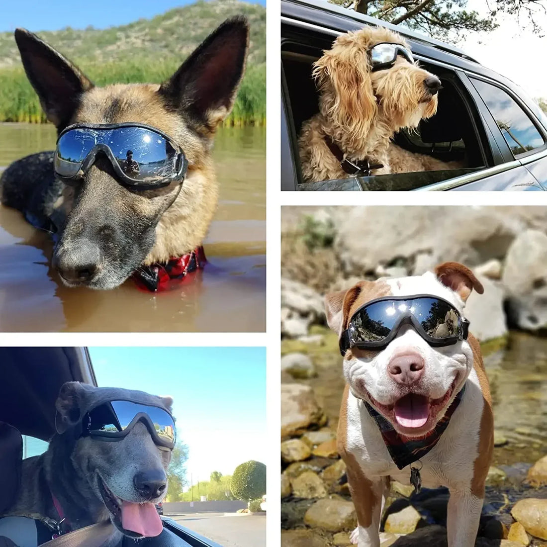 Dog Sunglasses / Dog Goggles